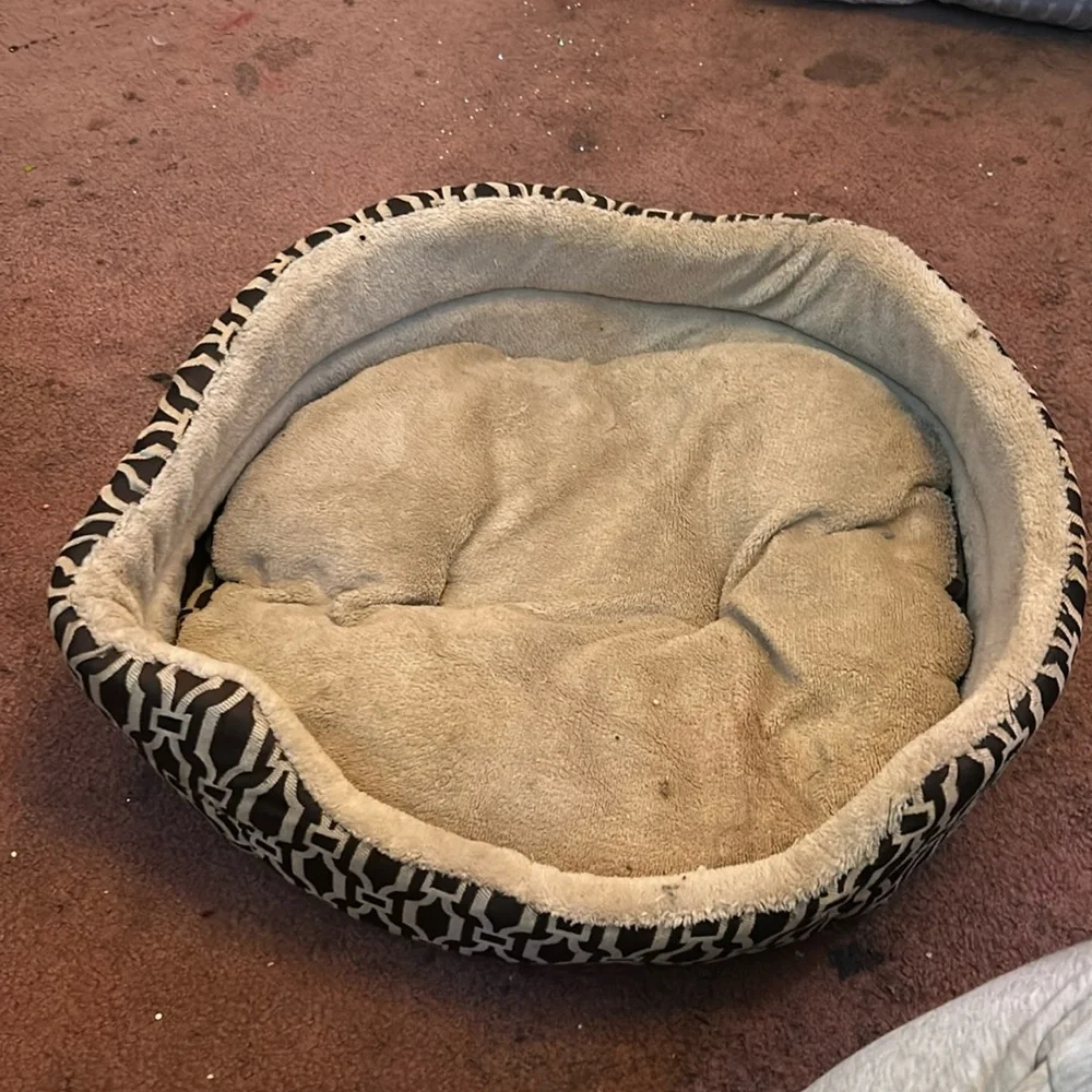 Cat bed
